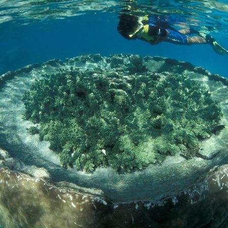 Sal Salis Ningaloo Reef Hotell Exmouth Eksteriør bilde