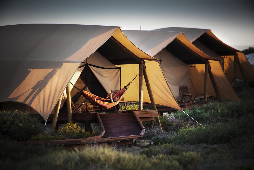 Sal Salis Ningaloo Reef Hotell Exmouth Eksteriør bilde
