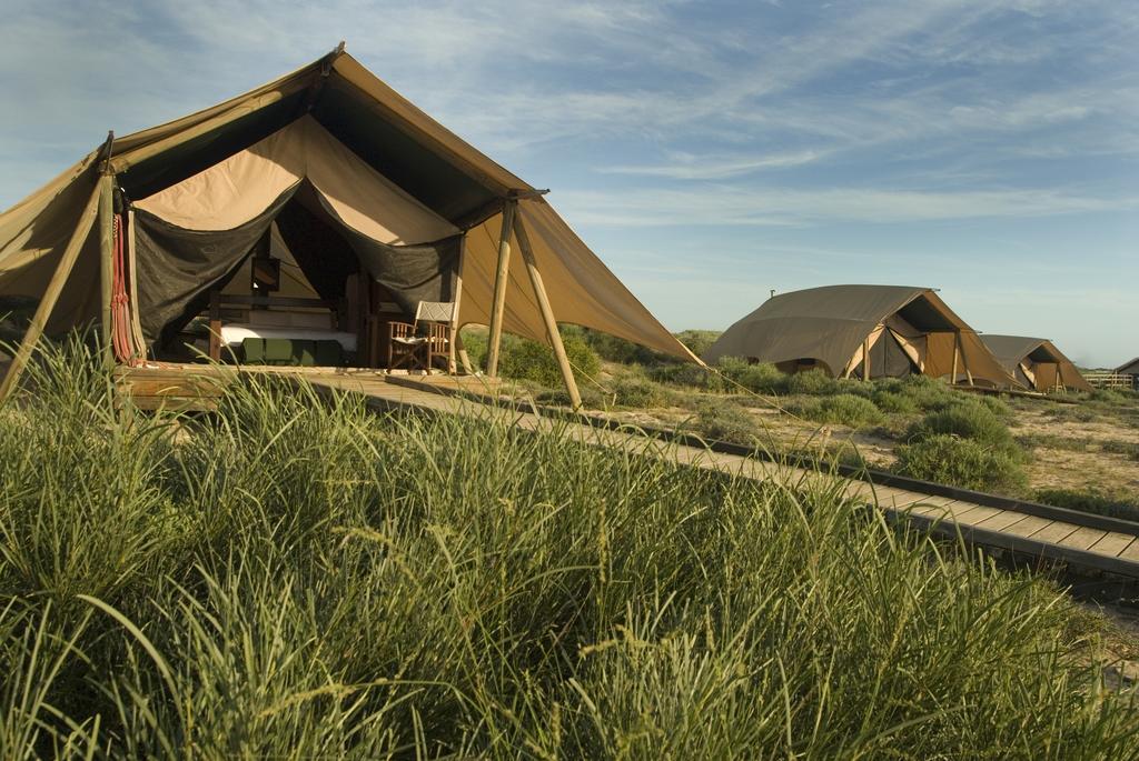 Sal Salis Ningaloo Reef Hotell Exmouth Eksteriør bilde