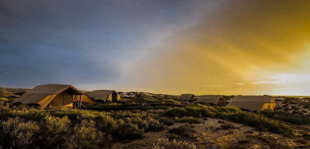 Sal Salis Ningaloo Reef Hotell Exmouth Eksteriør bilde