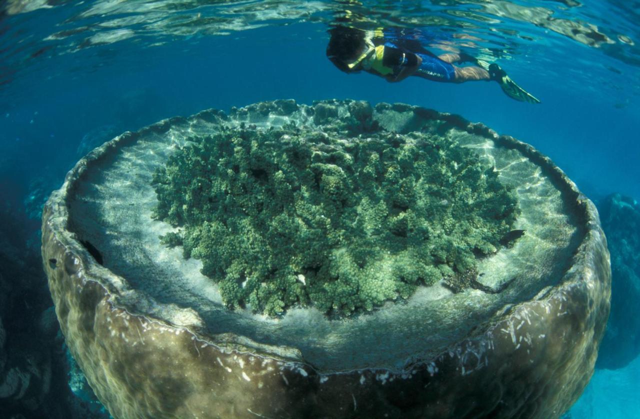 Sal Salis Ningaloo Reef Hotell Exmouth Eksteriør bilde